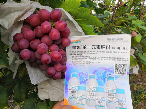 水溶肥，鈣肥，硼肥