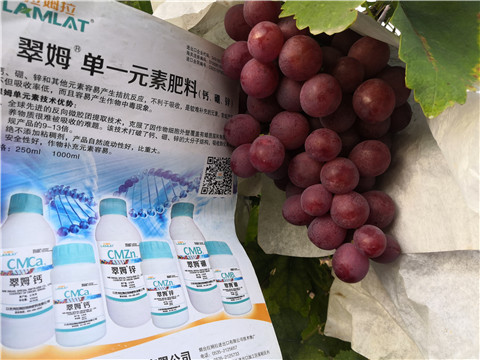 水溶肥，鈣肥，硼肥