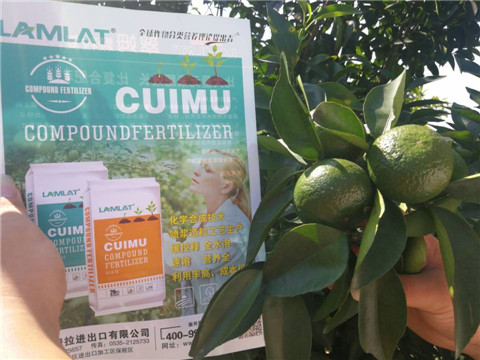 菌劑，水溶肥，