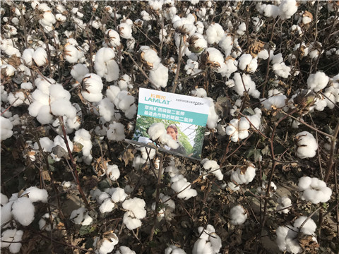 水溶肥，根碧多，生物菌劑