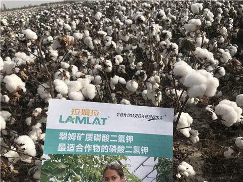 水溶肥，根碧多，生物菌劑