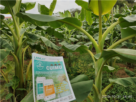 葉面肥，微生物菌劑，硼肥，水溶肥