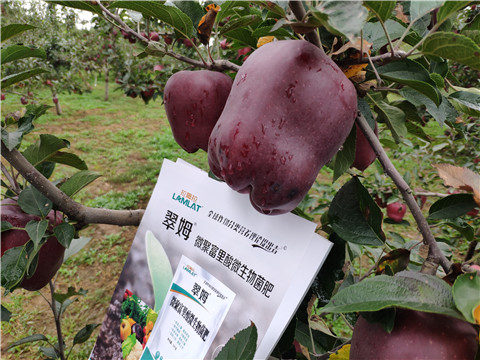 微生物菌劑，