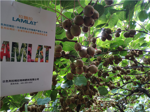 磷酸二氫鉀，葉面肥