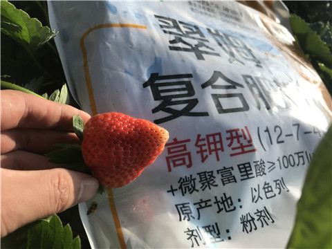 水溶，拉姆拉，翠姆