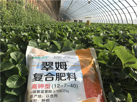 水溶，拉姆拉，翠姆