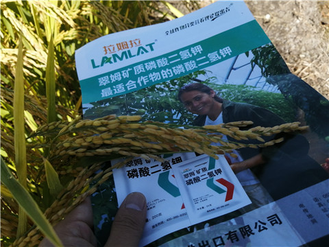 水溶肥，磷酸二氫鉀，