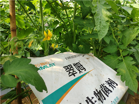 微生物菌劑，