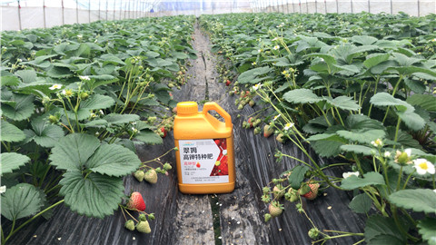 水溶肥，翠姆