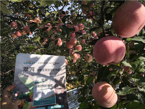 水溶肥，磷酸二氫鉀，微生物菌劑