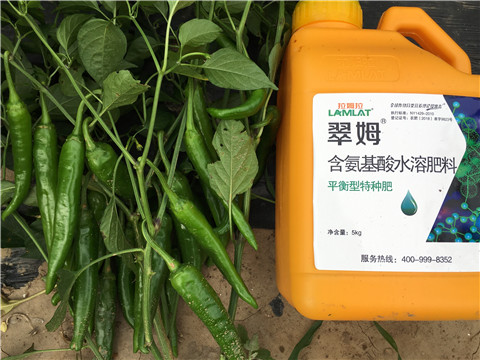 根碧多，微生物菌，葉面肥