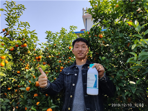 硼肥，拉姆拉