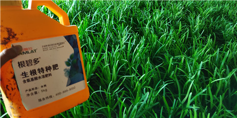 根碧多，拉姆拉