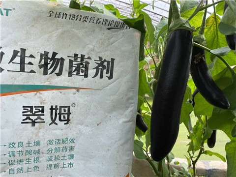 微生物菌劑，拉姆拉