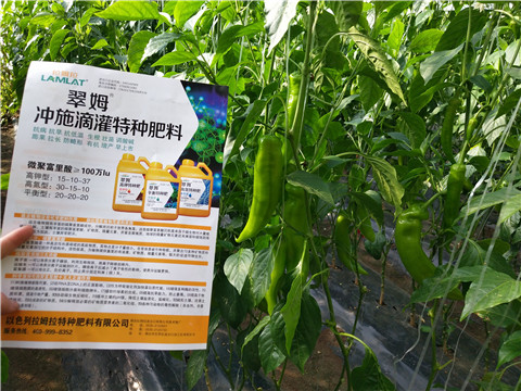 水溶肥，拉姆拉