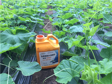 水溶肥，拉姆拉