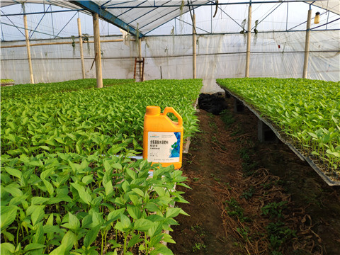 水溶肥，
