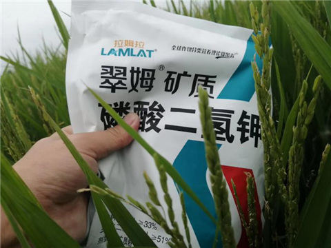 農資經銷商，拉姆拉，磷酸二氫鉀