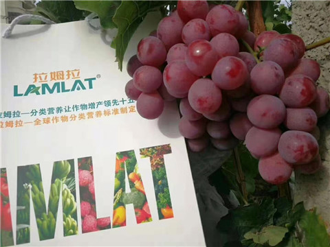 葉面肥，微生物菌劑