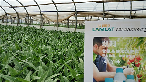 葉面肥，磷酸二氫鉀