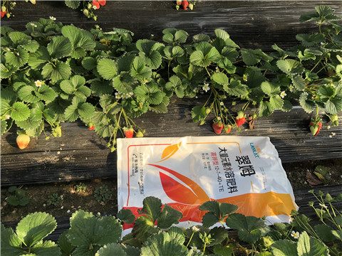 水溶肥，葉面肥，根碧多