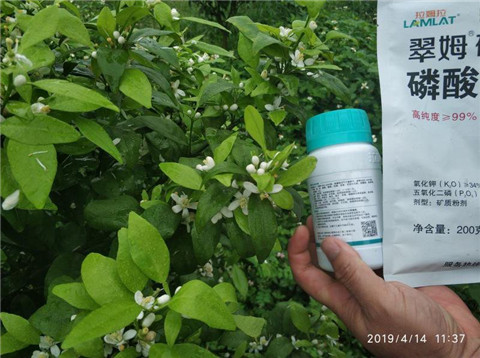 水溶肥，根碧多