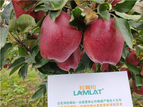 水溶肥 拉姆拉，翠姆