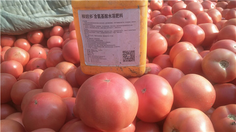 水溶肥，根碧多