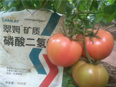 水溶肥，根碧多