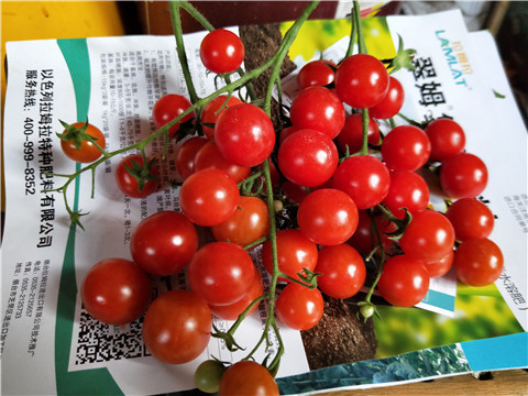 磷酸二氫鉀，鈣肥，根碧多