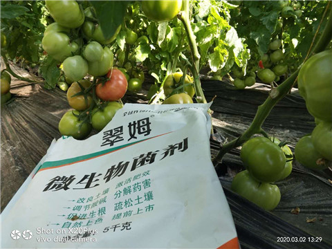 微生物菌劑，根碧多，磷酸二氫鉀