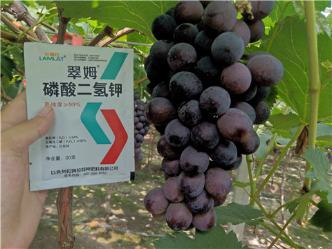 磷酸二氫鉀，葉面肥