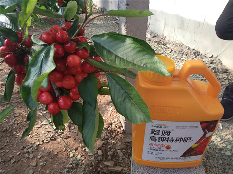 水溶肥，根碧多