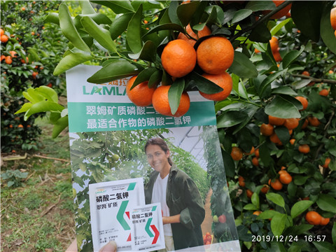 磷酸二氫鉀，鈣肥，硼肥