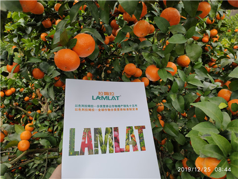 磷酸二氫鉀，鈣肥，硼肥