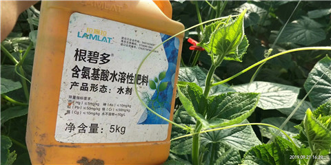 水溶肥，翠姆