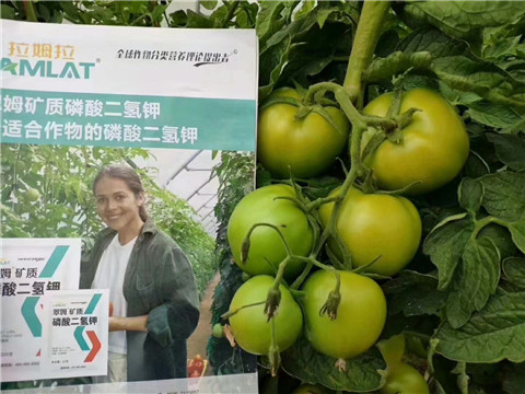 磷酸二氫鉀，鈣肥，水溶肥