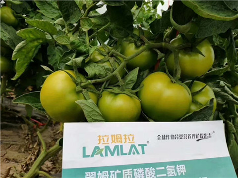 磷酸二氫鉀，鈣肥，水溶肥