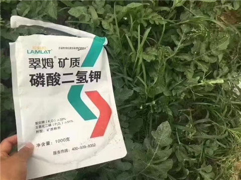 磷酸二氫鉀，硼肥，沖施肥