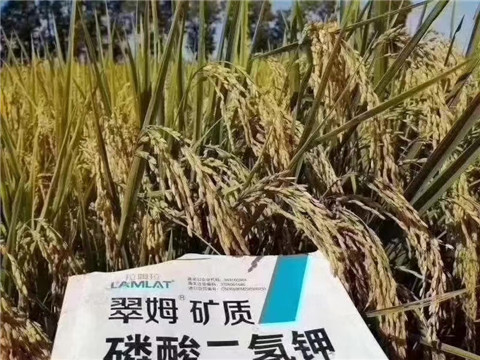 磷酸二氫鉀，翠姆