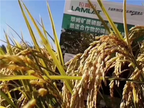 磷酸二氫鉀，翠姆