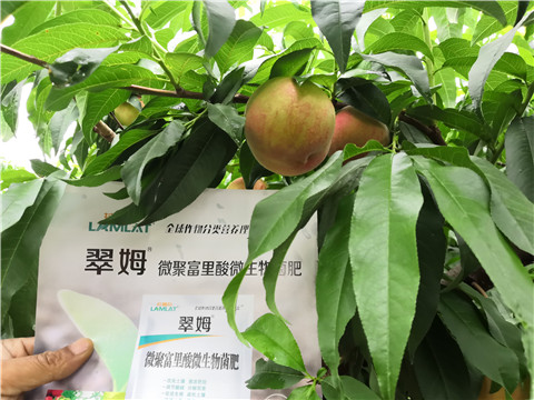 根碧多，微生物菌劑