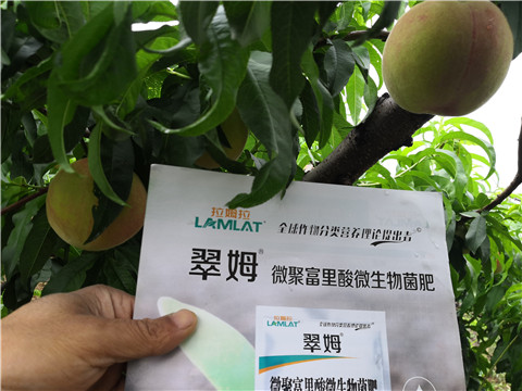 根碧多，微生物菌劑