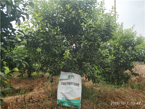 微生物菌劑，拉姆拉