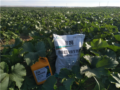 微生物菌劑，磷酸二氫鉀