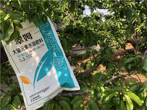 大量元素水溶肥，磷酸二氫鉀，硼肥