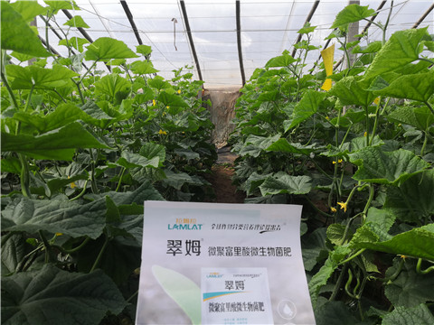 微生物菌劑，拉姆拉