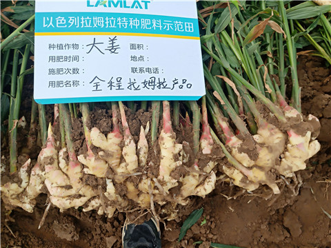 水溶肥，微生物菌劑，拉姆拉