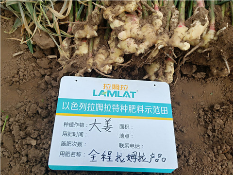 水溶肥，微生物菌劑，拉姆拉