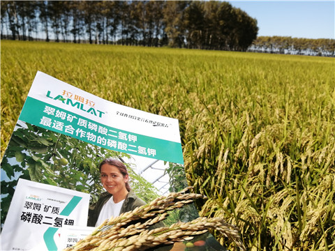 葉面肥，磷酸二氫鉀，安碧解